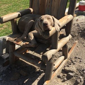 Meet your Posher, Beth